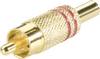 TRU COMPONENTS 1578917 RCA connector Plug, straight Number of pins: 2 Red 1 pc(s)