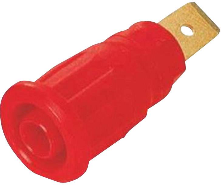 Stäubli SEB4F6,3 Safety jack socket Socket, builtin Red 1 pc(s