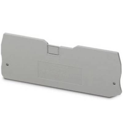 Grey rectangular cover cap with two mounting holes and a small indentation at the top centre.