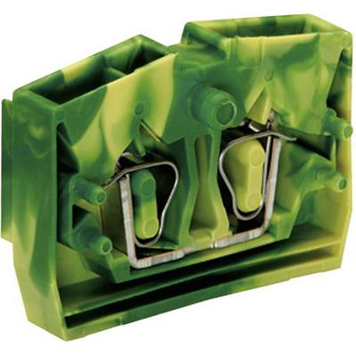 Green electrical terminal with two metal contacts and a plastic housing, viewed from the front.