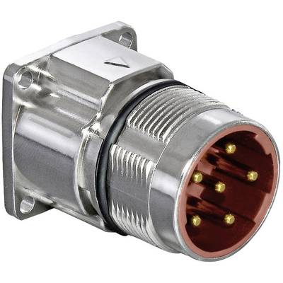 Intercontec BEGA120MR11000200C00 Contact connection: 4 x 0.35 - 2.5 mm² · 4 x 0.14 - 1.0 mm² 24 / 7 A BEGA120MR11000200C