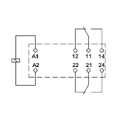 Circuit diagram of a relay with two coils A1 and A2, connected with switching contacts 11, 12, 14, 21, 22, 24.