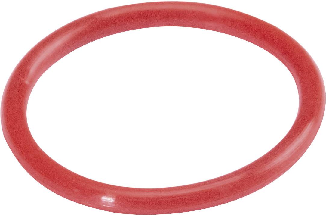 A red rubber sealing ring, round and flat, on a white background.