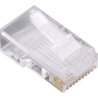 A RJ45 plug, transparent, is used for connecting Ethernet cables for network and internet connections.