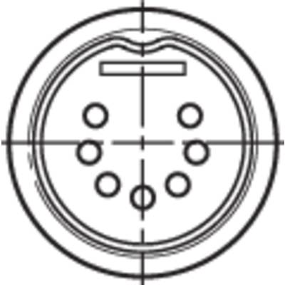 Type 2 socket for electric vehicles illustrated. Shows seven contact points in a circular arrangement.
