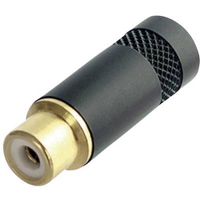 Golden and black audio adapter with RCA socket on one side.