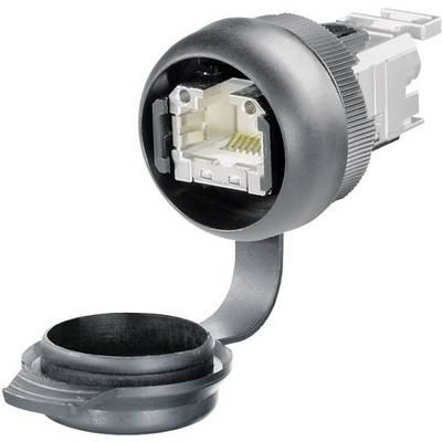 A RJ45 plug in a black plastic housing with a protective cap, suitable for Ethernet connections, reveals its gold-plated contacts.