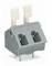 Grey two-pole WAGO terminal block with lever mechanism, enabling safe and tool-free connection of electrical cables.