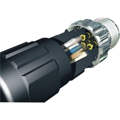 A multi-core cable with a metal plug at the end, showing various coloured cores secured by gold contacts.