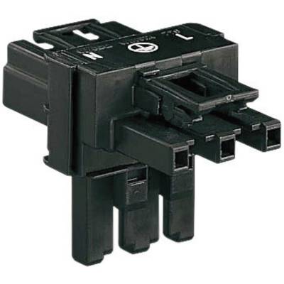 WAGO  Mains T distributor Mains plug - Mains socket, Mains socket Total number of pins: 2 + PE Black  1 pc(s) 