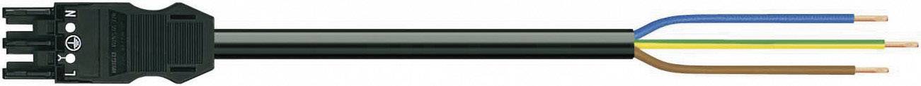 WAGO Mains cable Mains socket - Open cable ends Total number of pins: 2 + PE Black 3.00 m 1 pc(s)