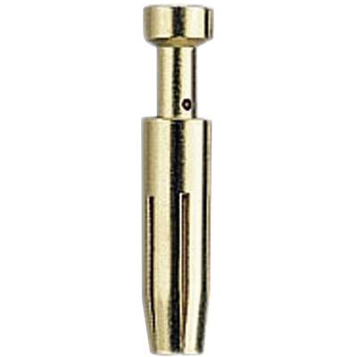 A metal hollow pin, vertically positioned, presumably part of an electronic connecting element.