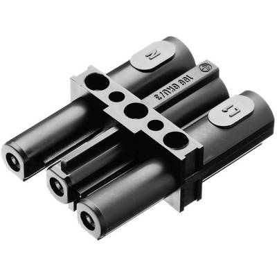 Adels-Contact;AC 166 GKU/ 3;Mains double pole connectorMains plug- Mains socket;Total number of pins: 2 + PE;Black1 pc(s
