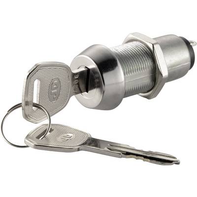 A metal cylinder lock with a key is inserted in the keyhole. A second key hangs from a thin metal ring.