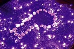 Polarlite Plc 03 003 Micro Holiday Lights Outside Mains Ed No Holiday Lights Outside Mains Ed