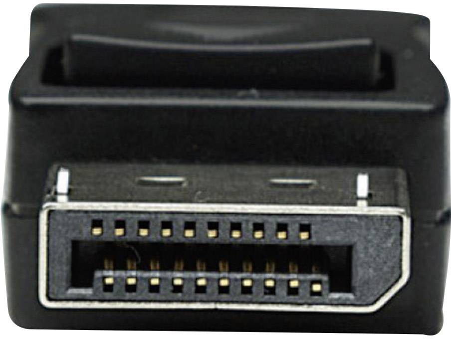 'DisplayPort plug in close-up.'