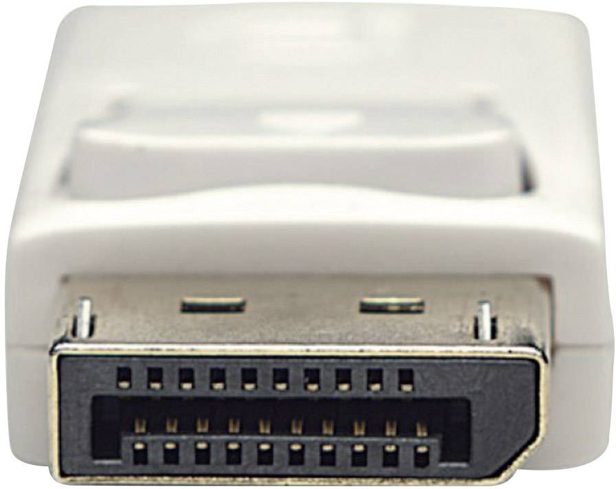 Close-up of a DisplayPort connector. Clear view of the contact pins and rectangular shape.