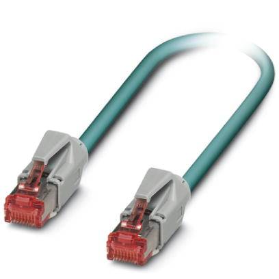 A green Ethernet cable with two red RJ45 connectors at each end, against a white background.