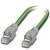 A green Ethernet cable with two plugs.