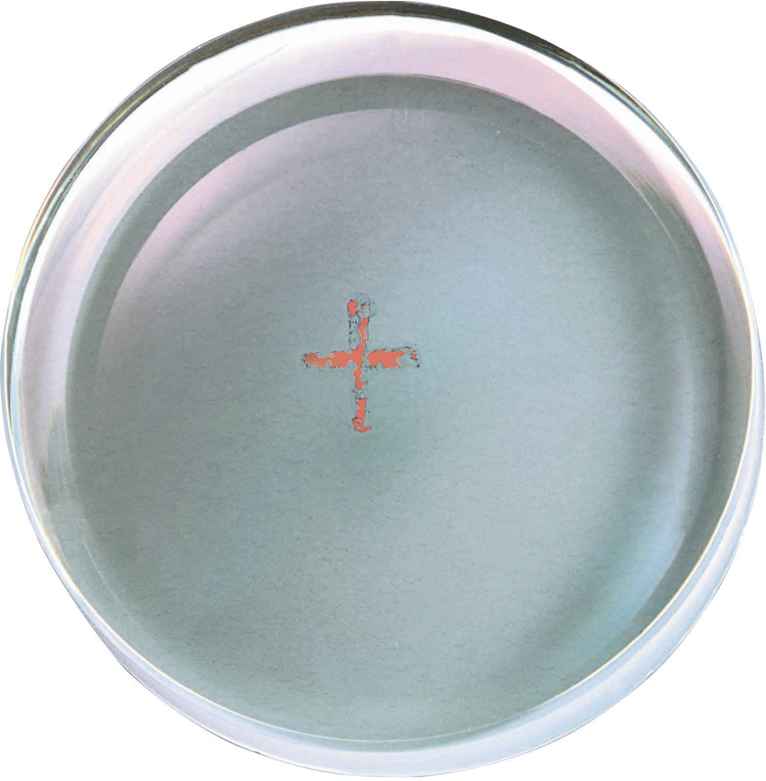 A round, flat glass Petri dish with a small, red, cross-shaped pattern in the centre on a light blue background.