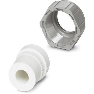 'Two plastic fittings: one grey fitting and one white fitting. Both have a threaded connection.'