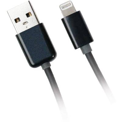  Apple iPad/iPhone/iPod Cable [1x USB 2.0 connector A - 1x Apple Dock lightning plug] 1.00 m Black
