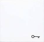 Flat rocker switch, key