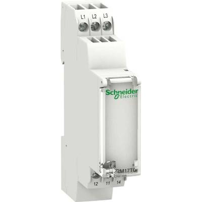Monitoring relay 208, 208 - 480, 480 V DC, V AC 1 change-over Schneider Electric RM17TG00  1 pc(s)