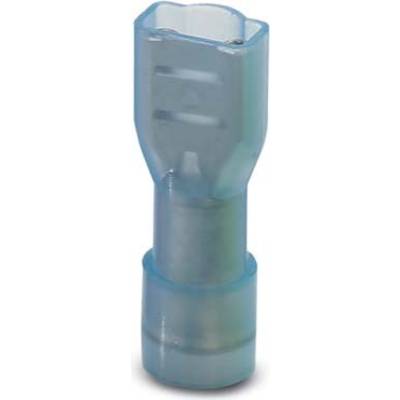 Phoenix Contact 3240540 Blade receptacle  Connector width: 4.8 mm Connector thickness: 0.8 mm 180 ° Insulated Blue 50 pc