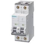 CIRCUIT BREAKER 10KA 2POL C3