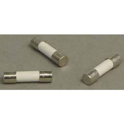 Weidmüller 0430600000 Micro fuse     0.5 A  250 V 10 pc(s)