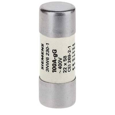 Siemens 3NW62301 Torpedo fuse holder inset     100 A  500 V 10 pc(s)