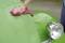 A hand polishes the bonnet of a green car with a red cloth, highlighted by a gleaming headlight detail.