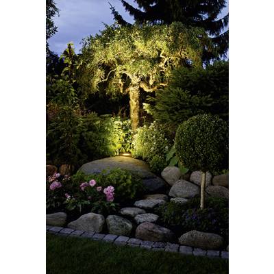 A lit garden with an illuminated tree at its centre, surrounded by shrubs, flowers, and large stones.