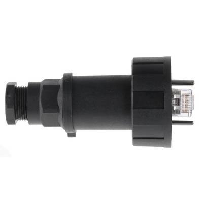 Buy Bulgin PX0834/B RJ45-Connector, Flexible - IP68 RJ45 Plug, straight ...