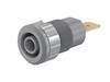 Stäubli SLB4-F6,3 Safety jack socket Socket, built-in Pin diameter: 4 mm Grey 1 pc(s)