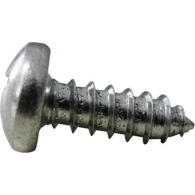 TOOLCRAFT 888700  Raised head self-tapping screw 2.9 mm 6.5 mm Phillips DIN 7981   Steel zinc plated 1 pc(s)