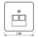 Young CD 569-2 UAWW cover for data socket 2-way