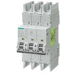 CIRCUIT BREAKER 6KA 1+N/1MW NL C13