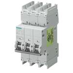 CIRCUIT BREAKER 10KA 2POL C10