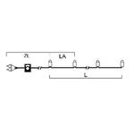 LED mini-light chain, 