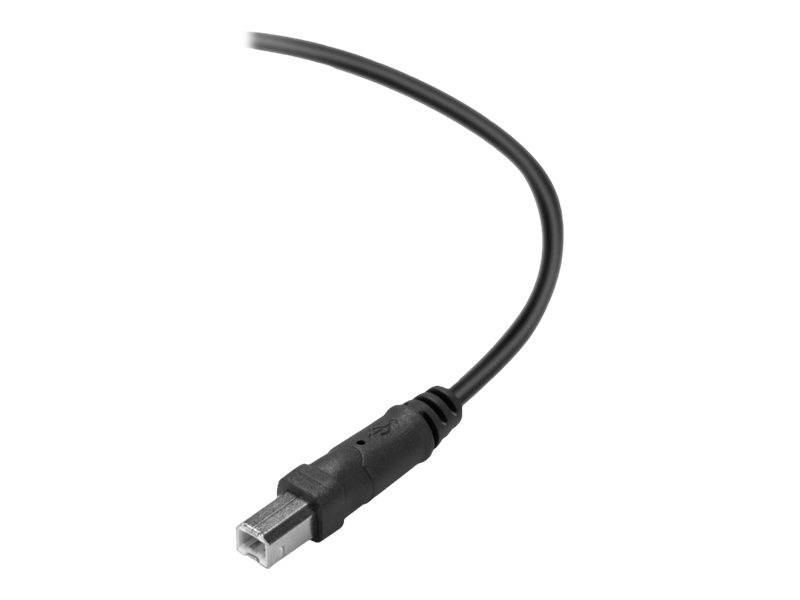 Belkin USB cable USB 2.0 USB-A plug, USB-B plug 3.00 m Black gold plated connectors, UL-approved F3U154BT3M-4