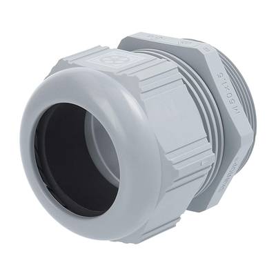 LAPP 53111060 Cable gland  M50  Polyamide Silver-grey (RAL 7001) 1 pc(s)