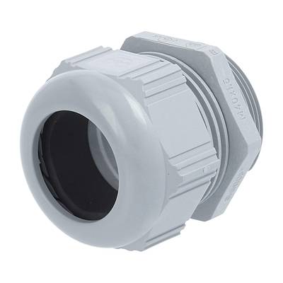 LAPP 53111050 Cable gland  M40  Polyamide Silver-grey (RAL 7001) 1 pc(s)