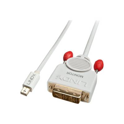 LINDY Mini DisplayPort / DVI Adapter cable Mini DisplayPort plug, DVI-D 18+1-pin plug 2.00 m White 41957 DisplayPort cab-1