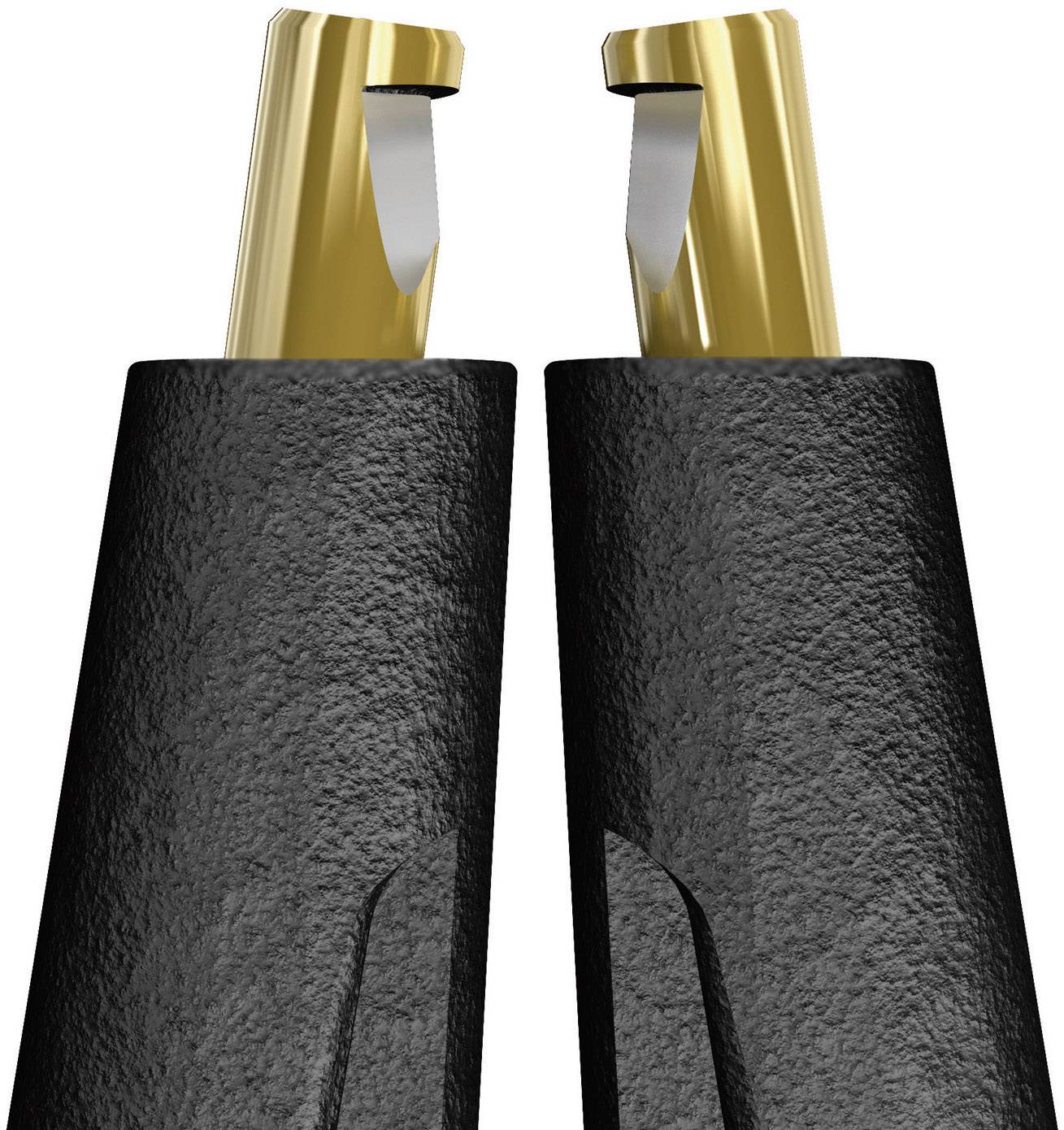 Close-up of a black pen with two golden metal nibs, revealing the tips. Modern, elegant design features highlighted.