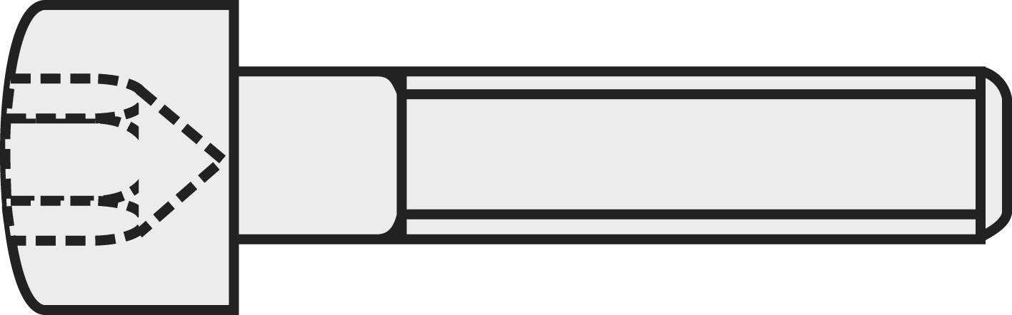 Technical drawing of a screw head with threads and thread pitch; shows details of the internal thread and screw shaft.