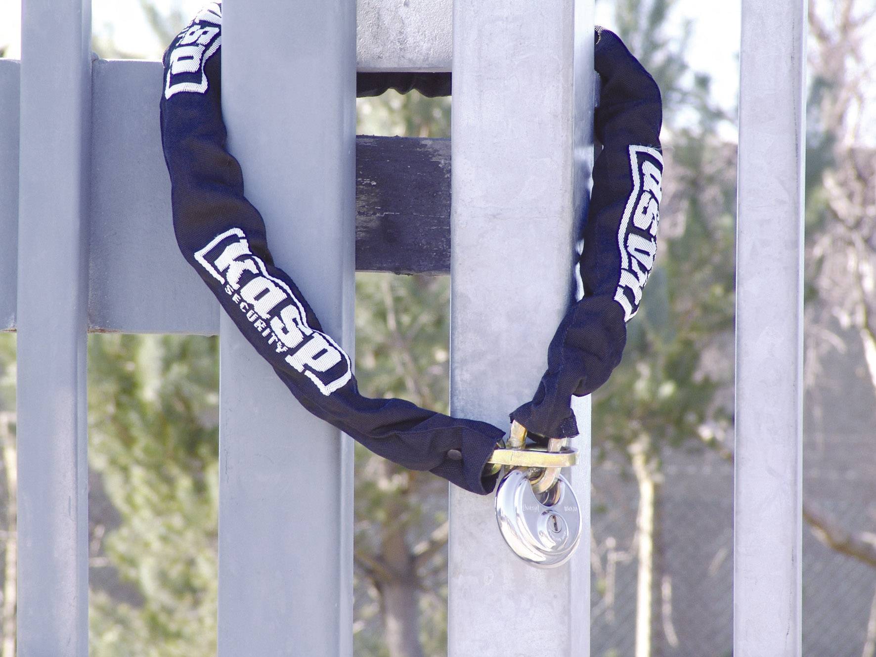 A padlock secures a gate with a chain.
