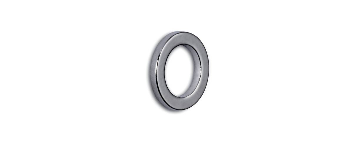 Maul Neodym magnet MAUL (Ø x H) 12 mm x 1.5 mm Ring Silver 10 pc(s) 6168396-4