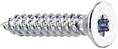 A single silver cross-head screw lies sideways, with its thread clearly visible.